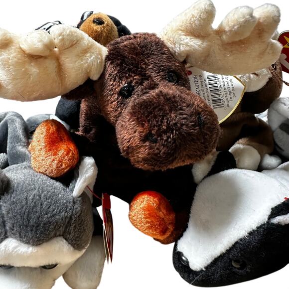 Ty Beanie Baby Lot of 12 Mixed Animals with Hanging Tags Excellent Condition - Picture 6 of 12